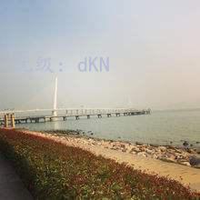 ˫