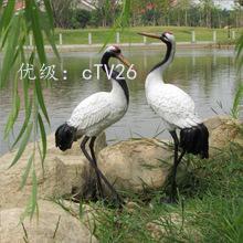 赸